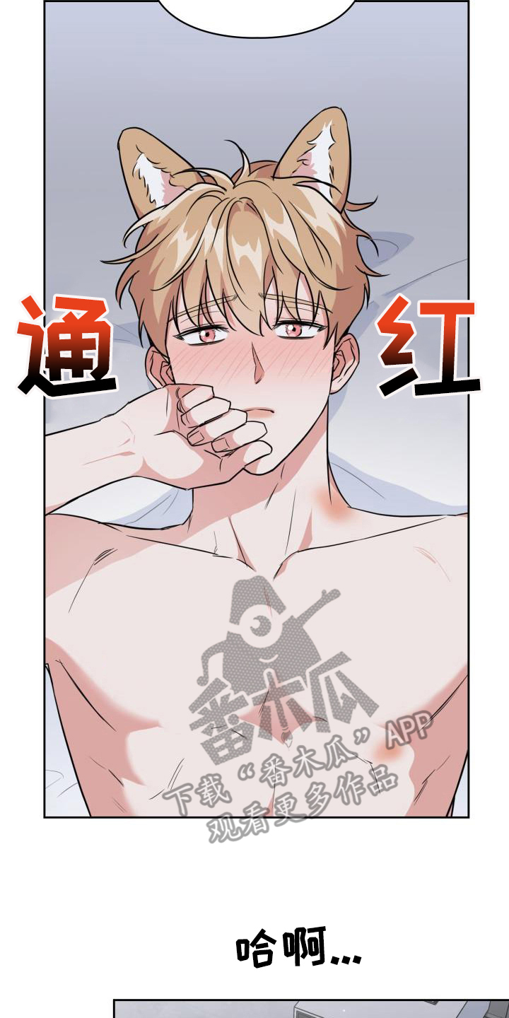 兽现文字漫画,第114章：【第二季】不好惹2图