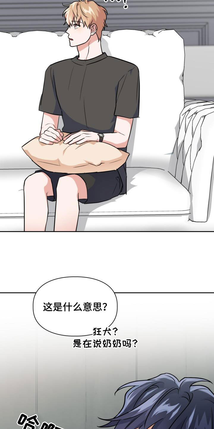 兽现文字漫画,第125章：【第二季】处分4图
