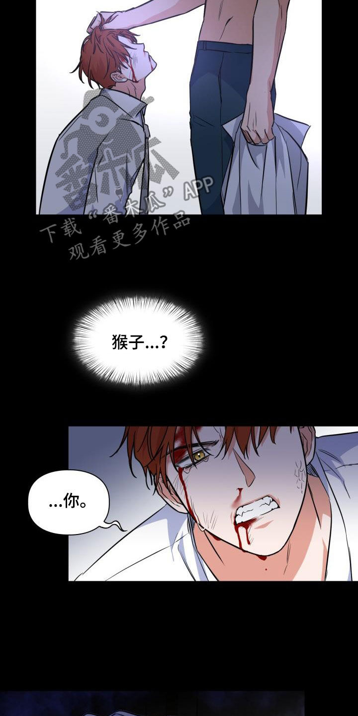 兽现文字漫画,第136章：【第二季】唯一机会1图