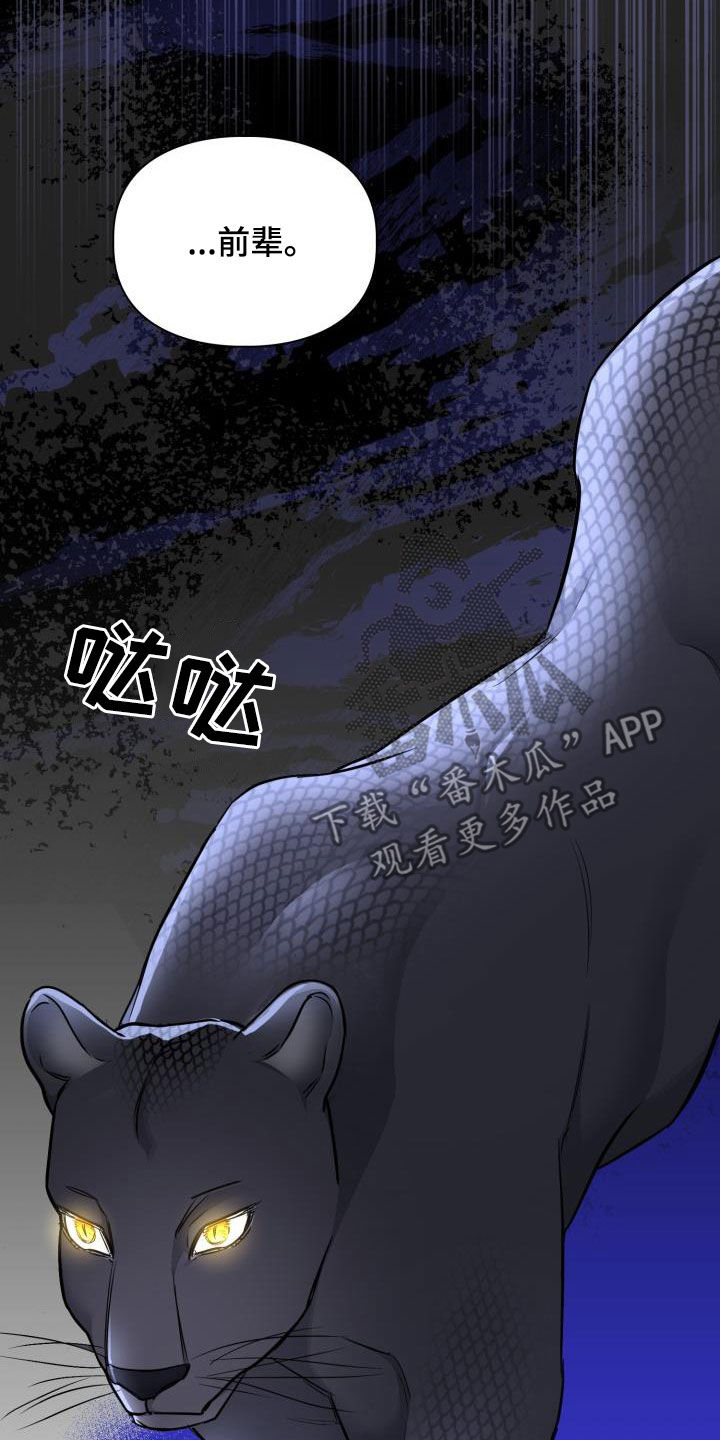 兽现文字漫画,第140章：【第二季】凶险3图