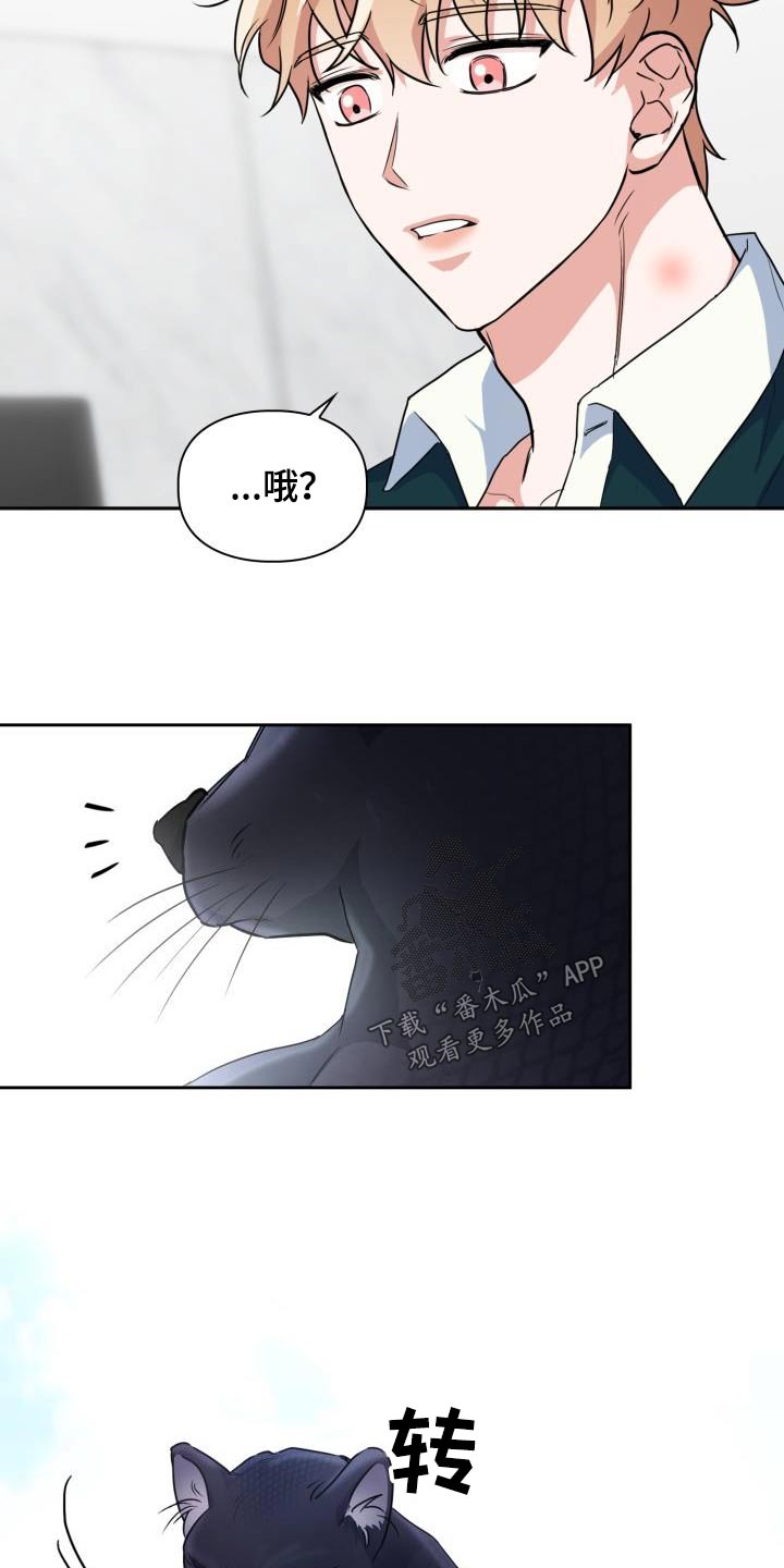 兽现文字漫画,第86章：【第二季】豹子1图