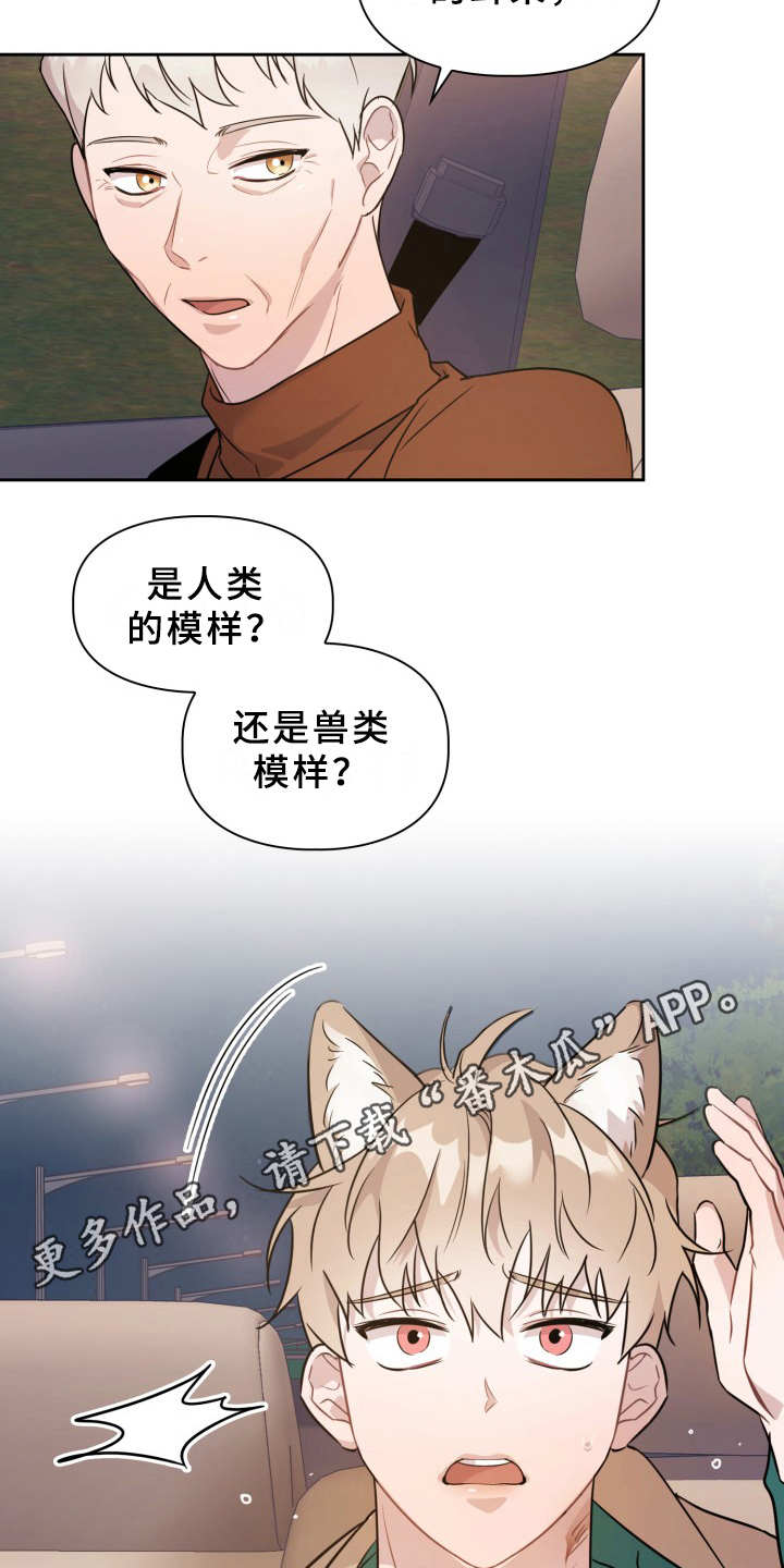 兽现文字漫画,第8章：耳朵4图