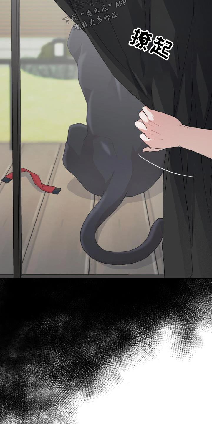 兽现文字漫画,第86章：【第二季】豹子4图