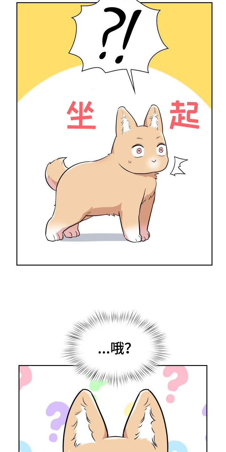 兽现文字漫画,第122章：【第二季】闹翻天5图