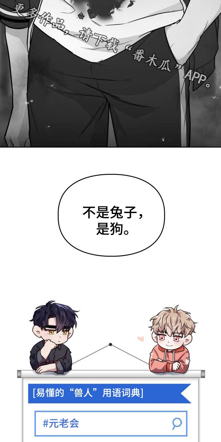 兽现文字漫画,第82章：【第二季】少管我3图