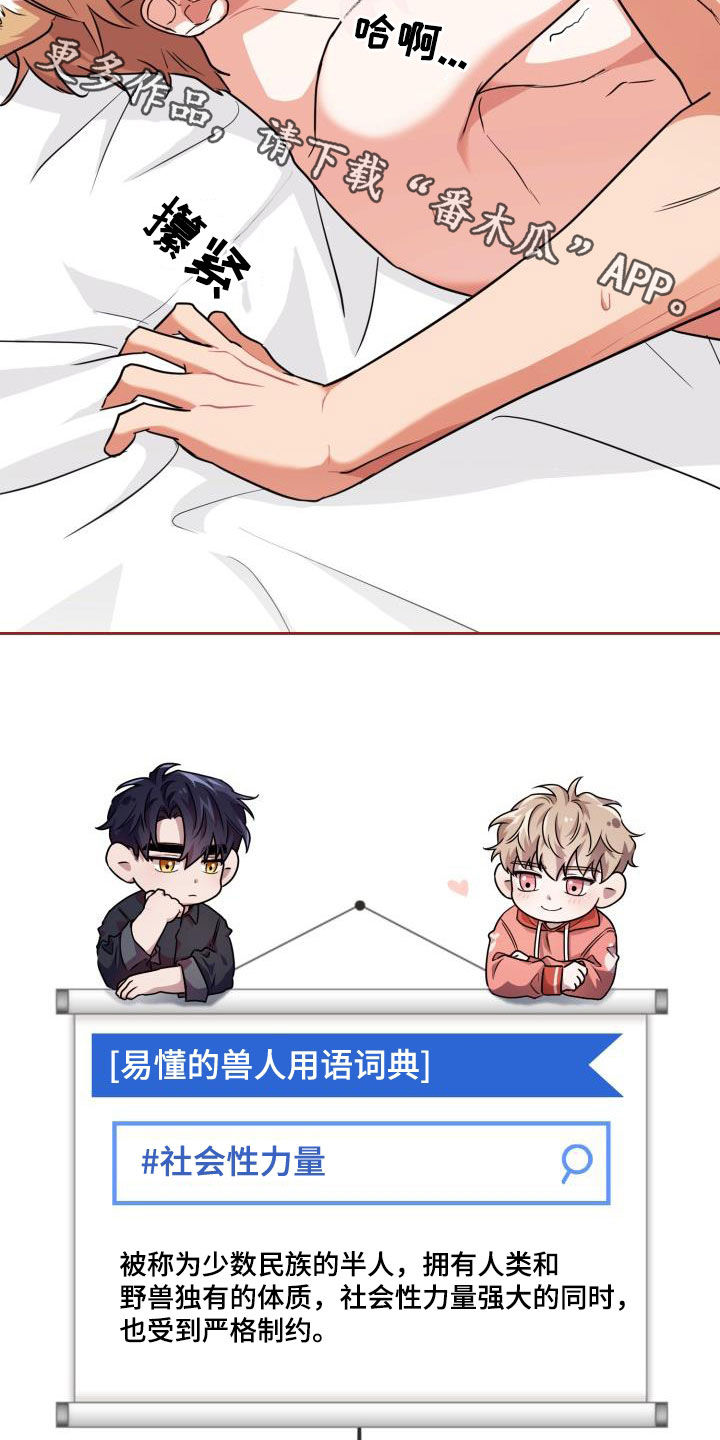 兽现文字漫画,第78章：【第二季】权限1图