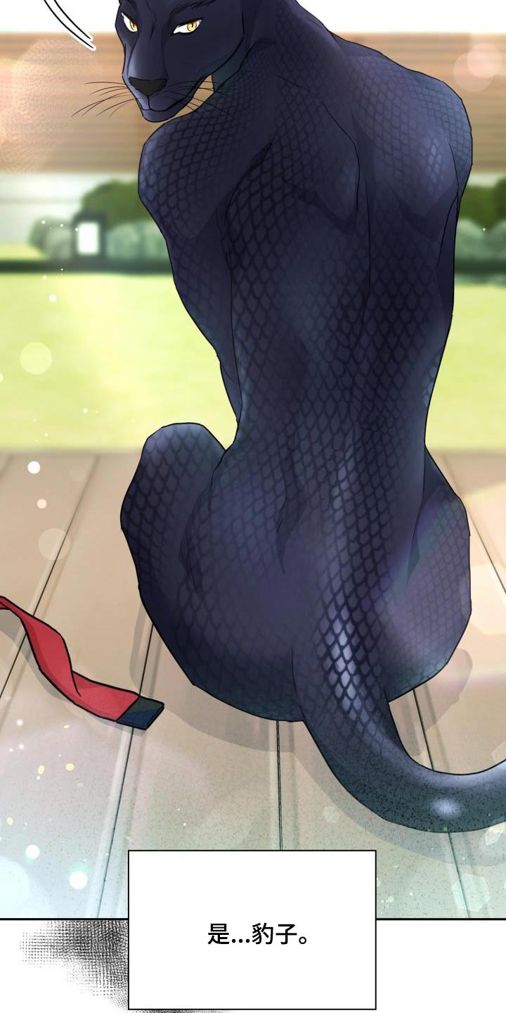 兽现文字漫画,第86章：【第二季】豹子2图