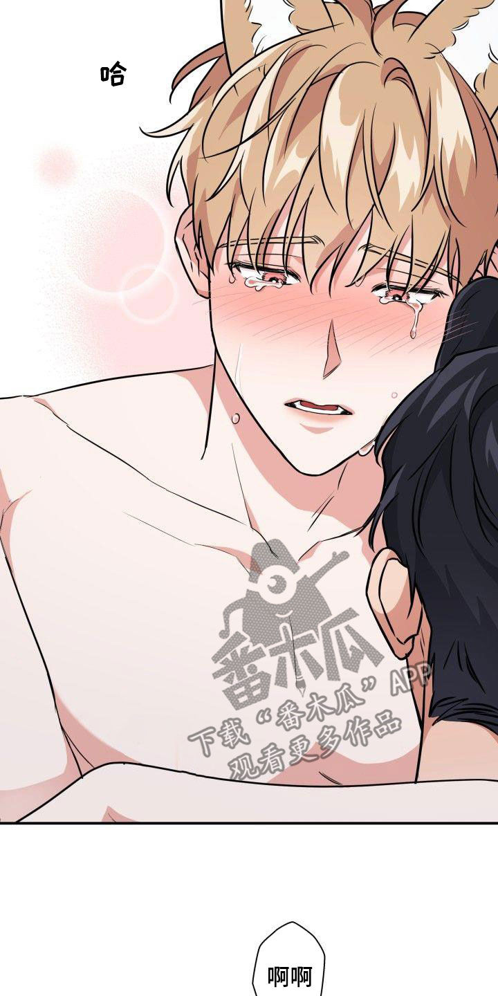 兽现文字漫画,第118章：【第二季】目的4图