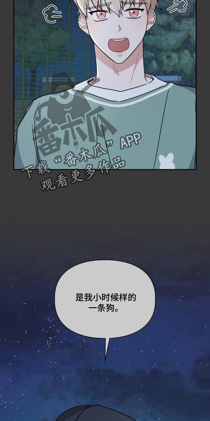 兽现文字漫画,第26章：狗狗眼4图