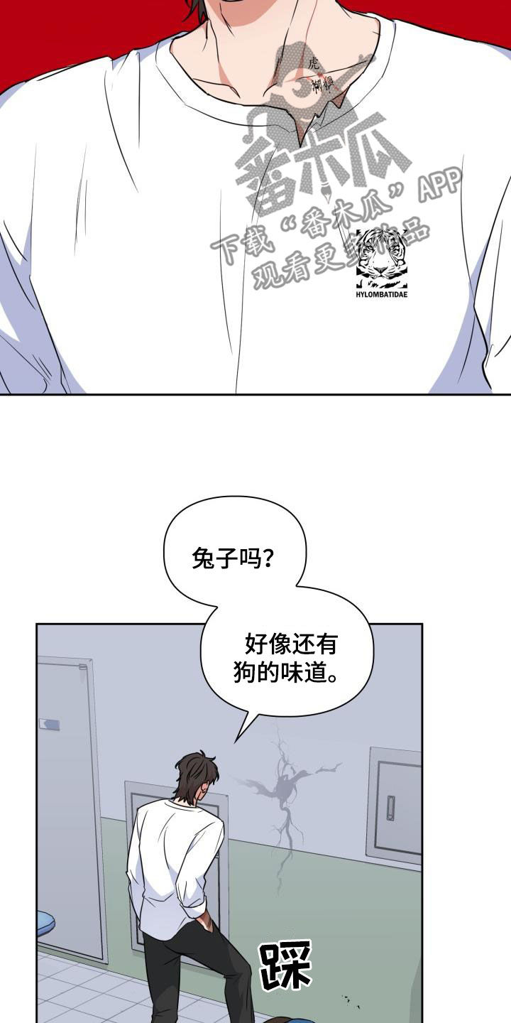 兽现文字漫画,第107章：【第二季】弱小3图