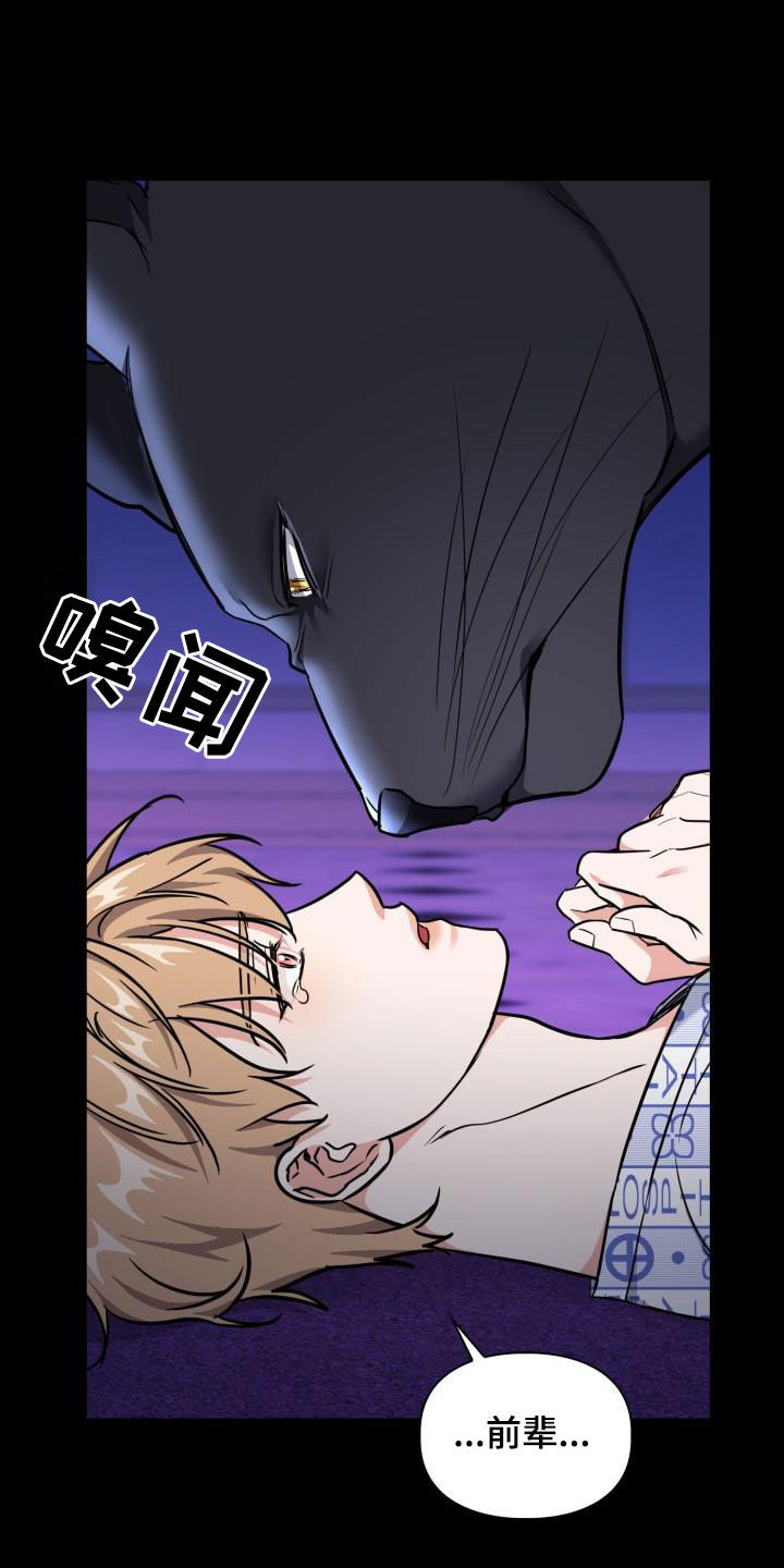 兽现文字漫画,第141章：【第二季】遵守约定2图