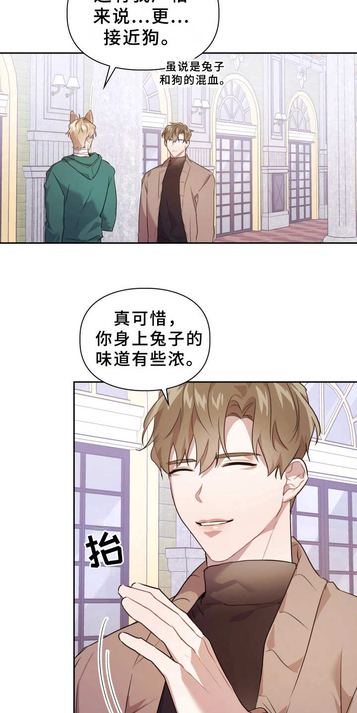 兽现文字漫画,第11章：不适应4图