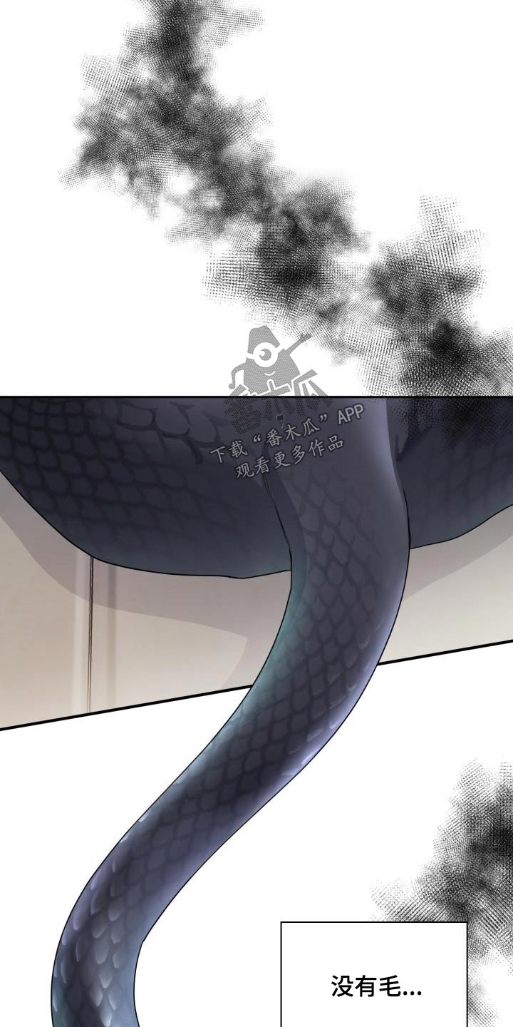 兽现文字漫画,第86章：【第二季】豹子3图