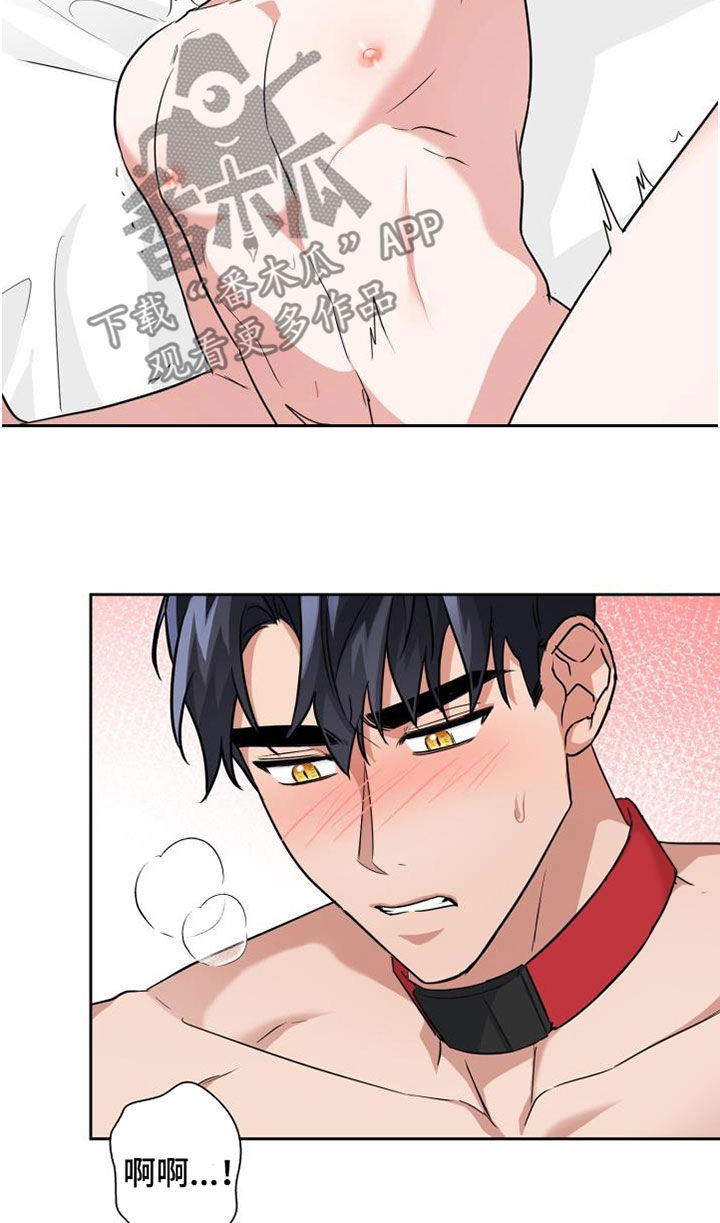 兽现文字漫画,第78章：【第二季】权限1图