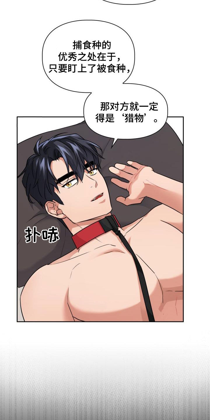 兽现文字漫画,第75章：【第二季】会剁脚的兔子5图