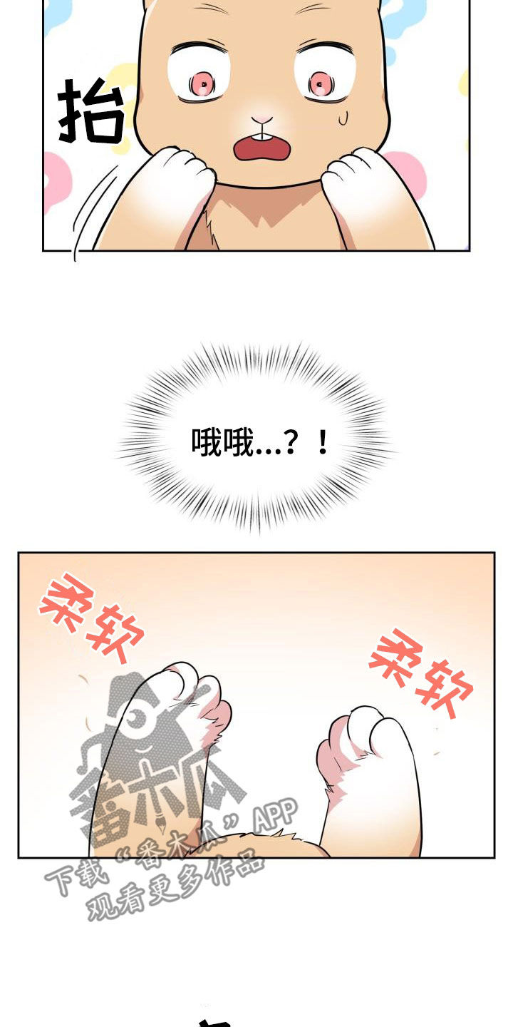 兽现文字漫画,第122章：【第二季】闹翻天1图