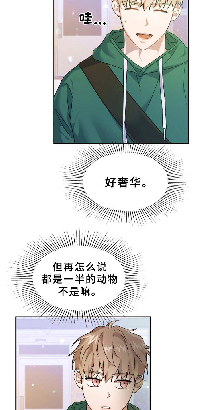 兽现文字漫画,第1章：在哪见过2图