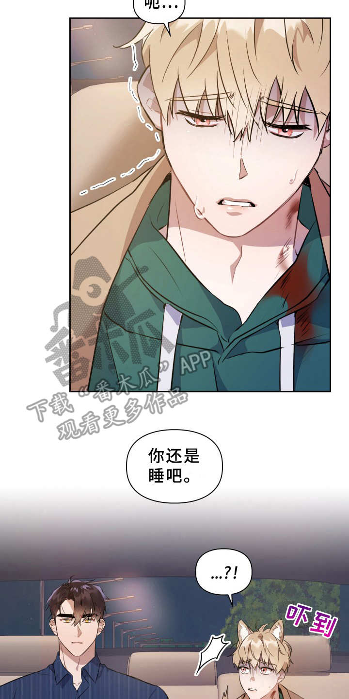 兽现文字漫画,第8章：耳朵2图