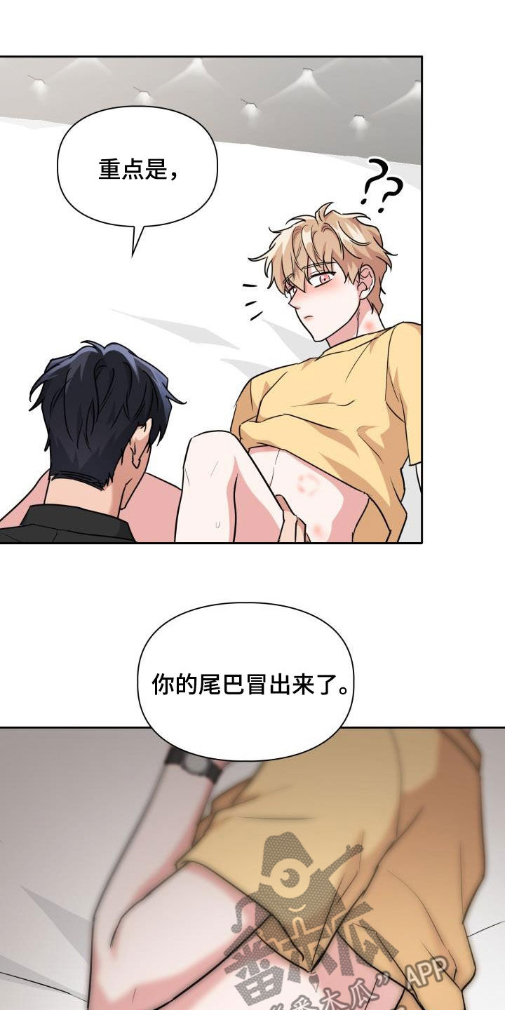 兽现文字漫画,第84章：【第二季】尾巴5图