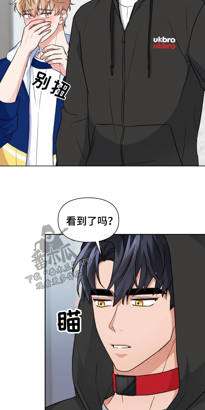 兽现文字漫画,第71章：【第二季】项圈5图