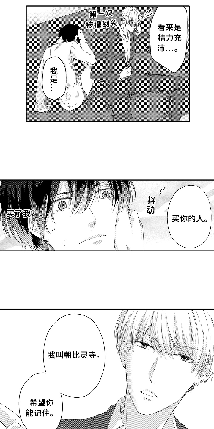 专属拍品漫画,第3章：目的1图