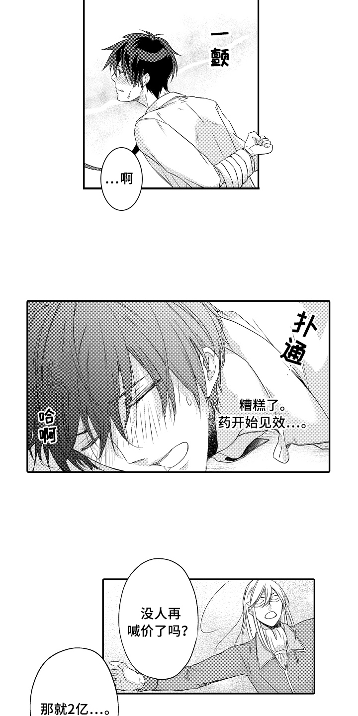 专属拍品漫画,第2章：买下3图