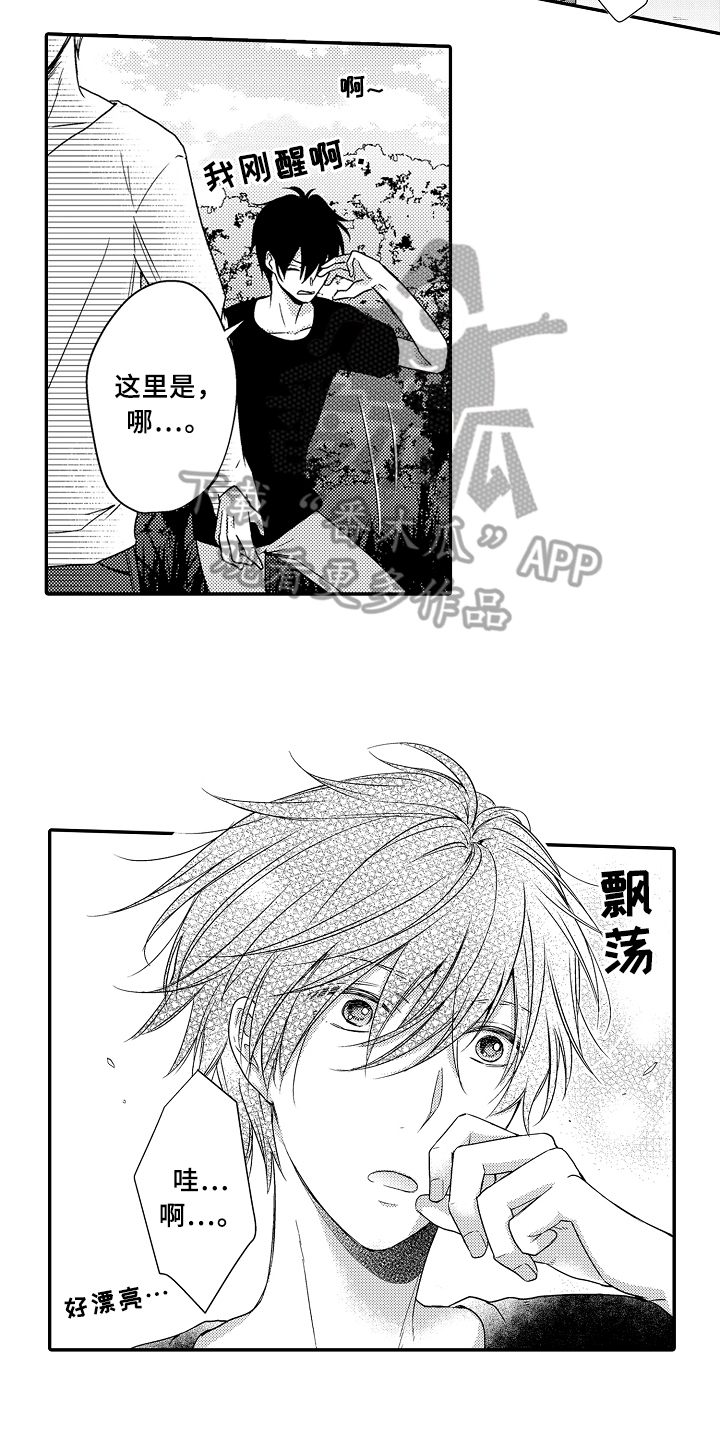 专属拍品漫画,第12章：看海4图