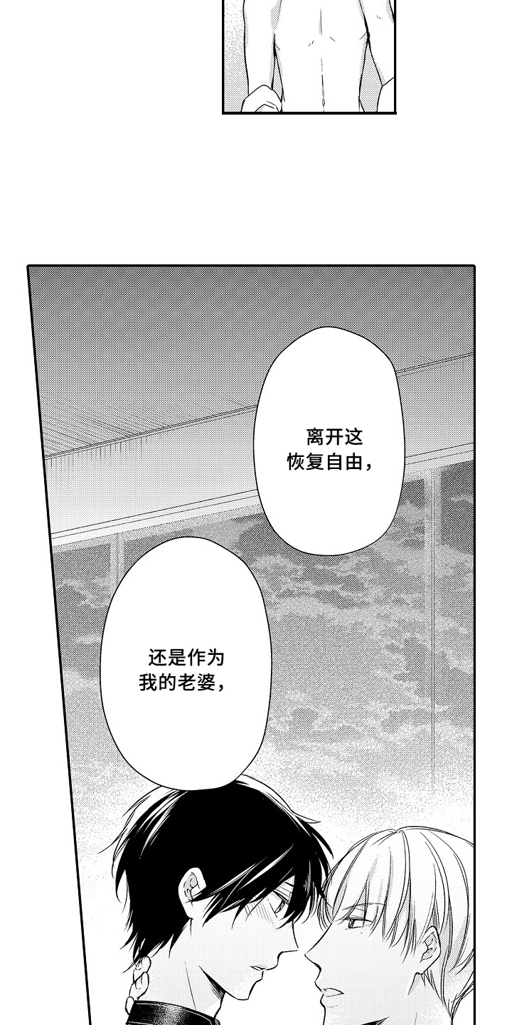 专属拍品漫画,第26章：选择5图