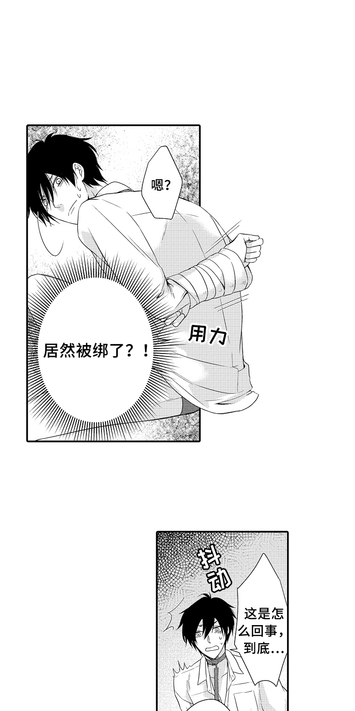 专属拍品漫画,第1章：拍卖1图