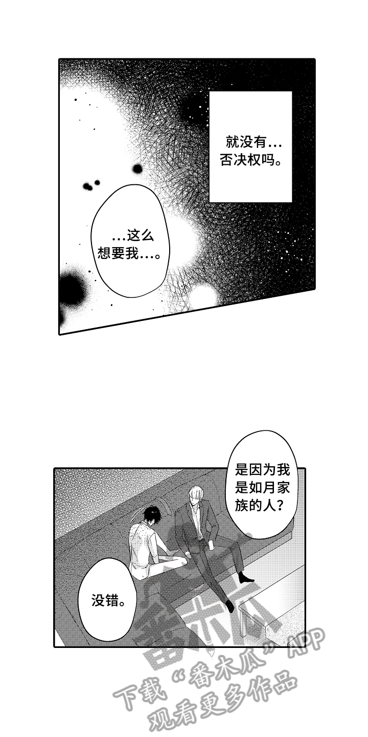 专属拍品漫画,第4章：猜测1图