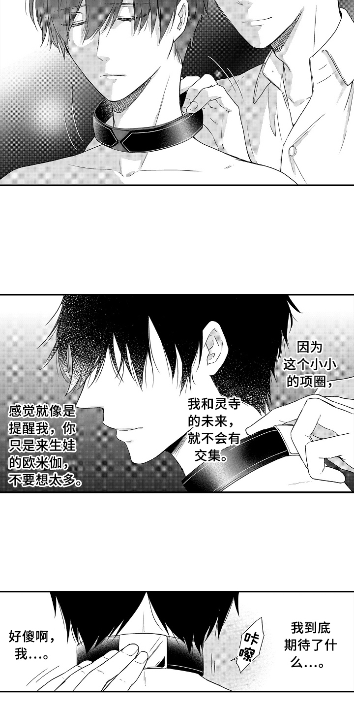 专属拍品漫画,第20章：项链4图