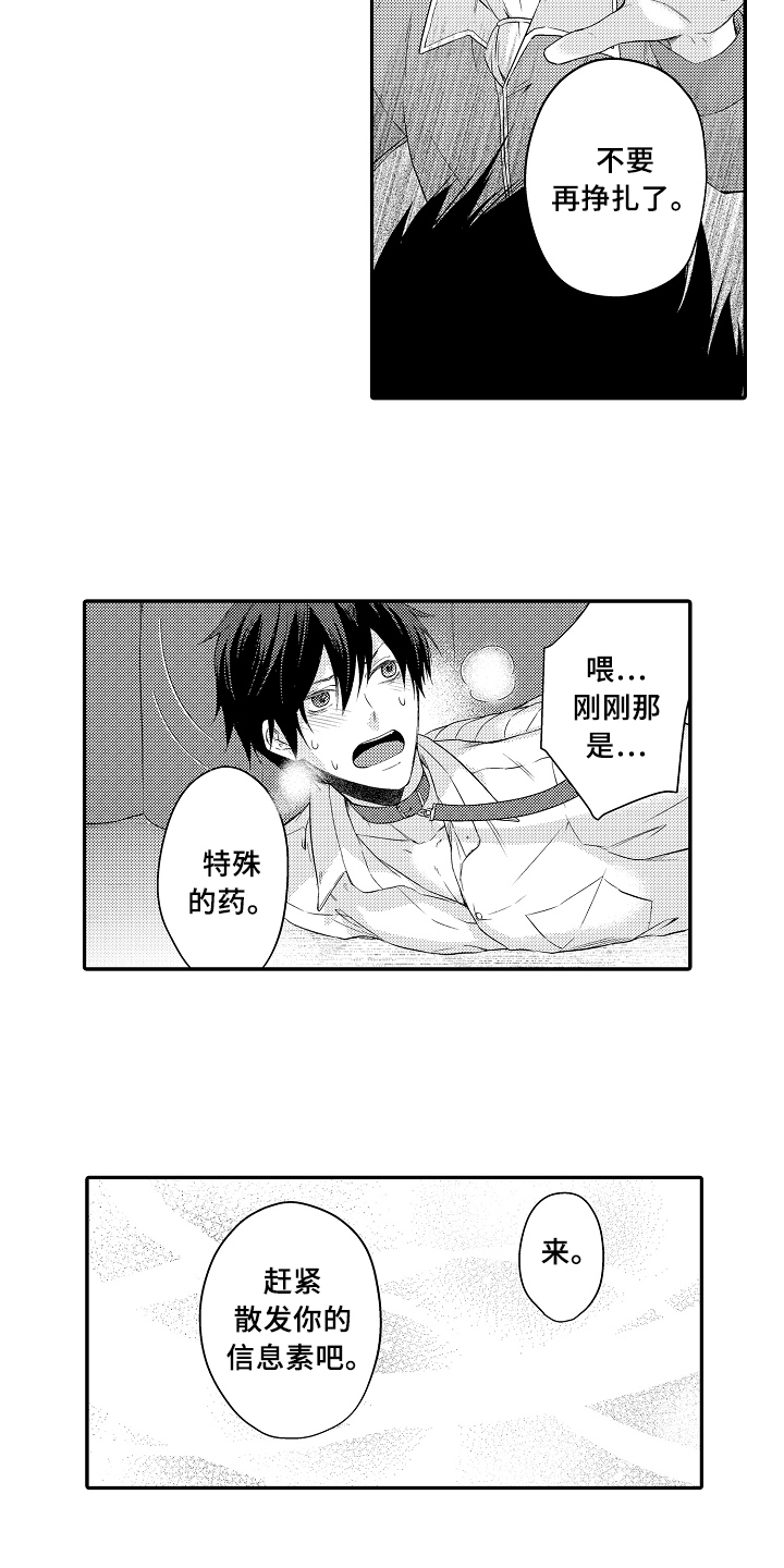 专属拍品漫画,第2章：买下2图