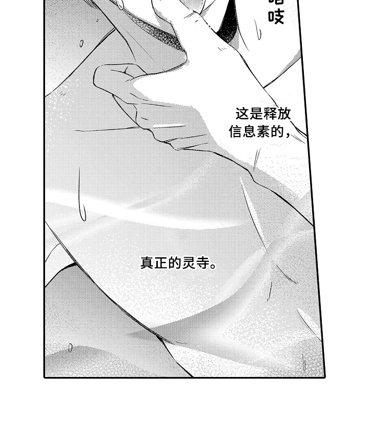 专属拍品漫画,第27章：真正的灵寺4图