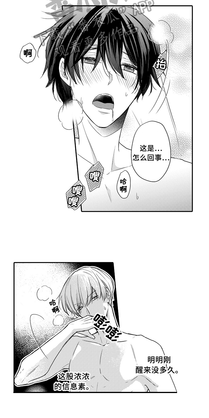 专属拍品漫画,第18章：无法冷静5图