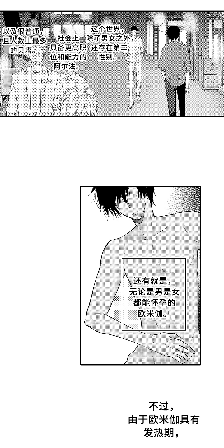 专属拍品漫画,第1章：拍卖3图