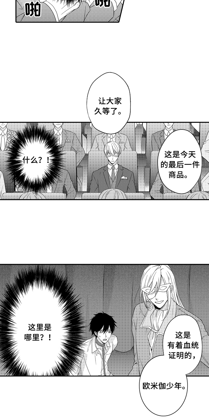 专属拍品漫画,第1章：拍卖4图
