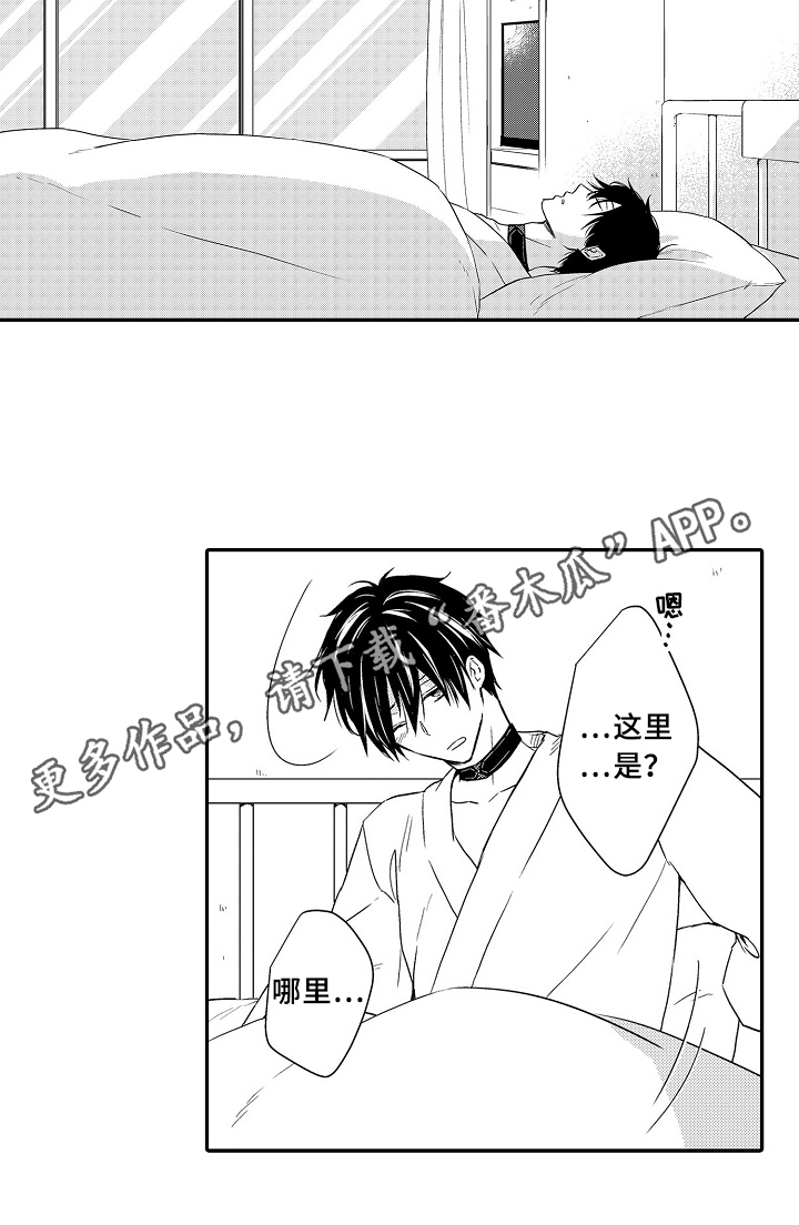 专属拍品漫画,第20章：项链5图