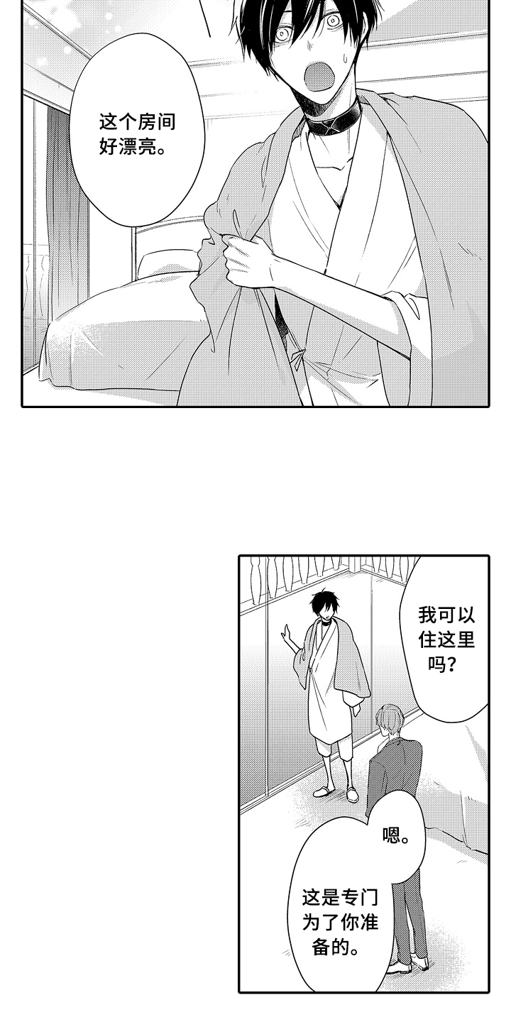 专属拍品漫画,第21章：被骗5图