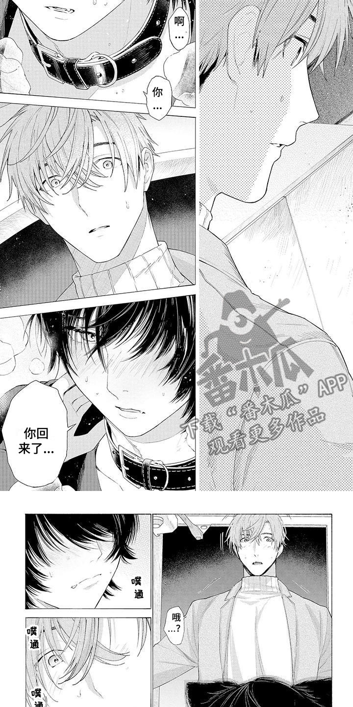 服从吧狼少年漫画,第8章：想念1图