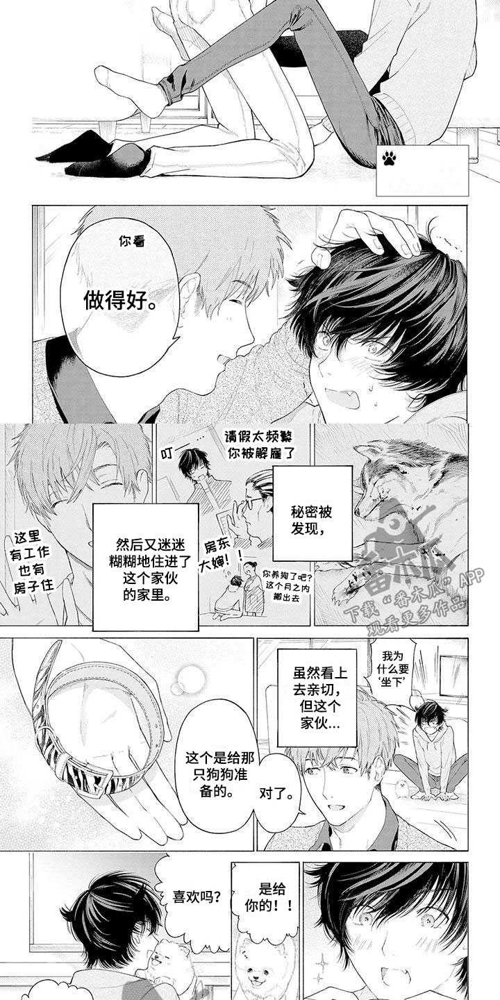 服从吧狼少年漫画,第4章：看门犬2图