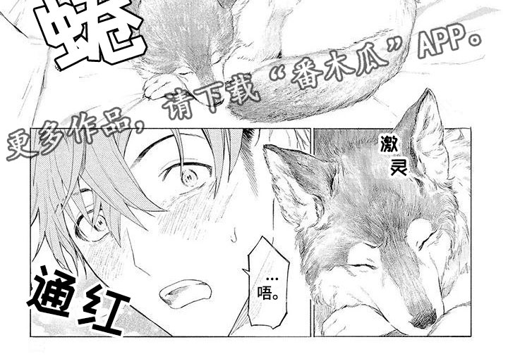 服从吧狼少年漫画,第10章：遛狗2图