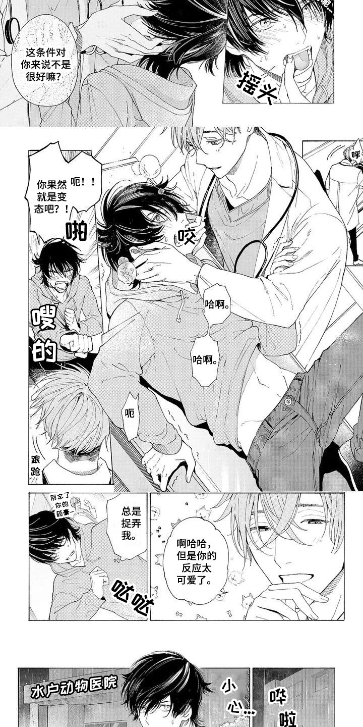 服从吧狼少年漫画,第3章：新的工作2图