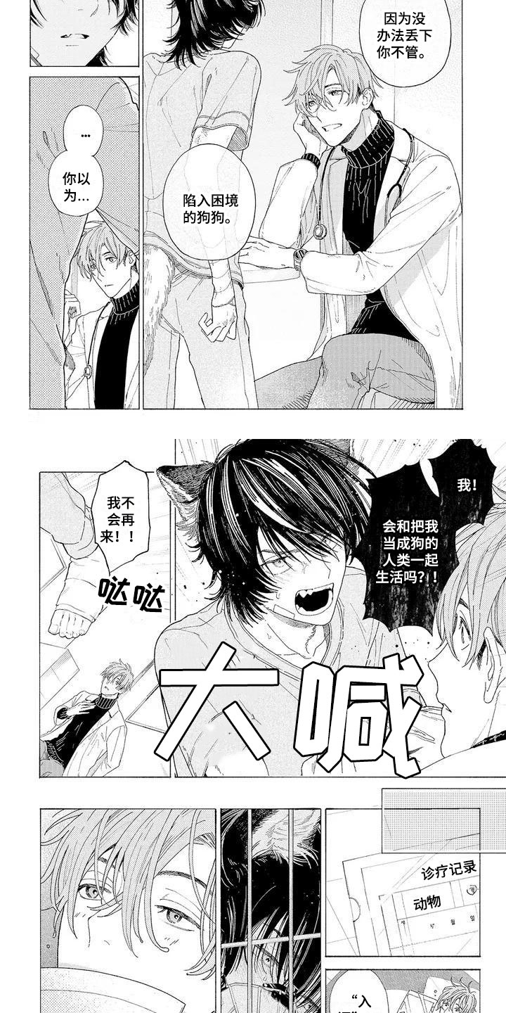 服从吧狼少年漫画,第2章：再次光临5图