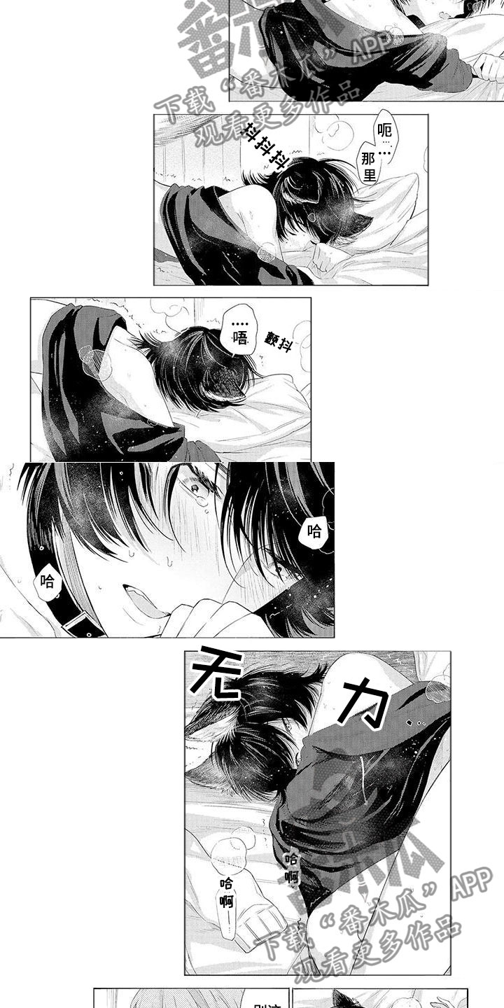 服从吧狼少年漫画,第9章：拥抱4图