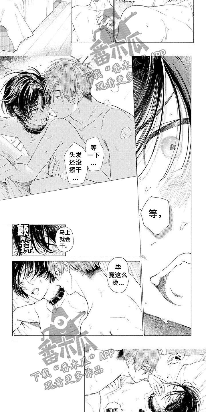 服从吧狼少年漫画,第16章：不要走3图
