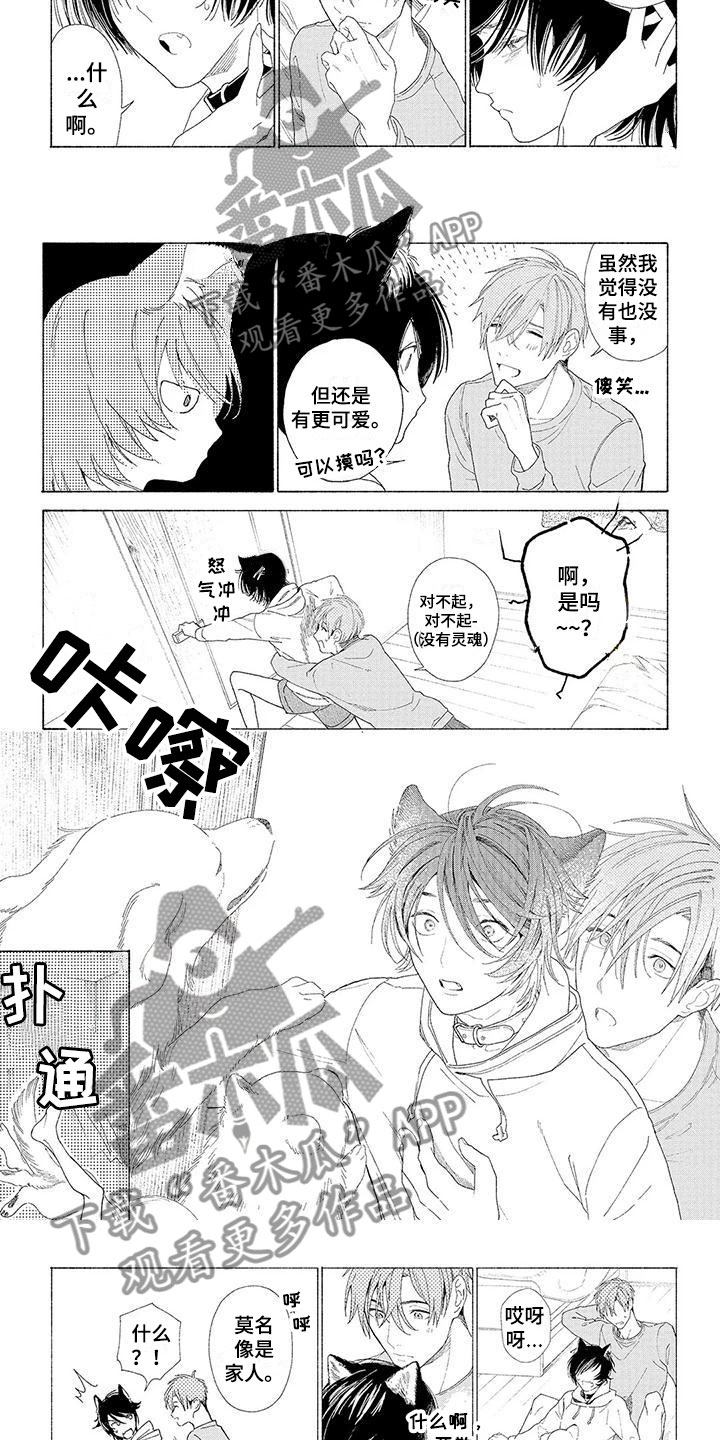 服从吧狼少年漫画,第17章：像是家人3图