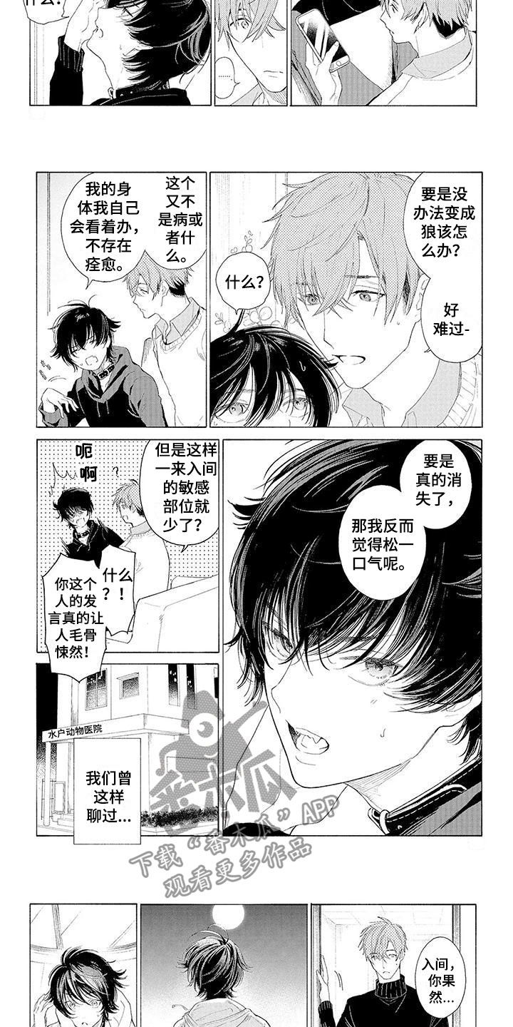 服从吧狼少年漫画,第13章：住下的理由3图