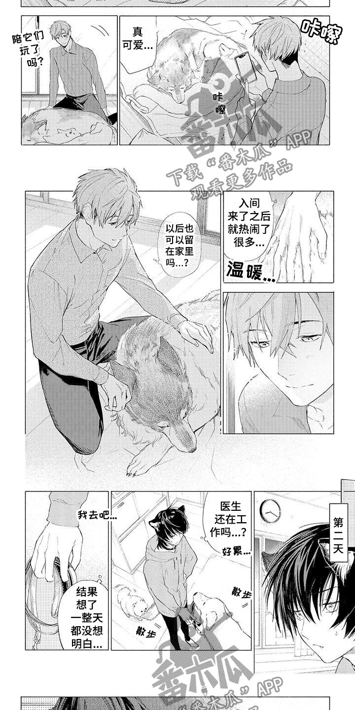 服从吧狼少年漫画,第11章：心跳加速5图