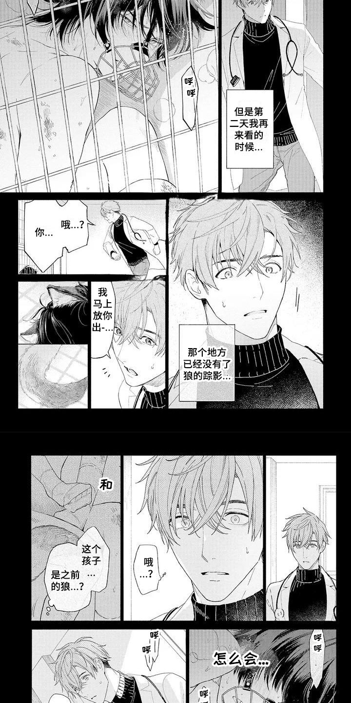 服从吧狼少年漫画,第1章：可爱的狼人5图