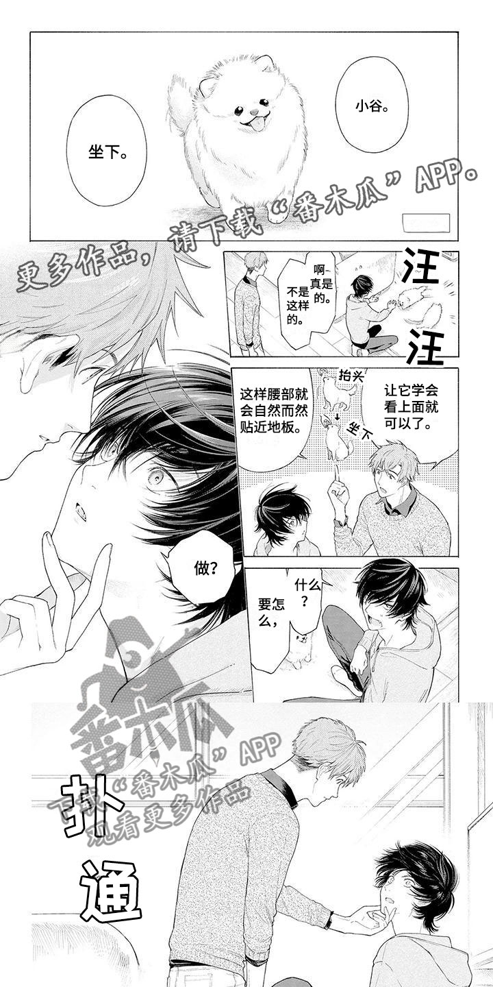 服从吧狼少年漫画,第4章：看门犬1图